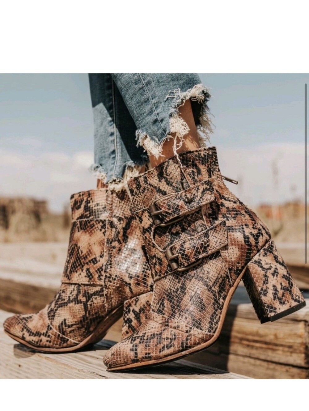 FREEBIRD Joey Snake Print Bootie SZ 8 Boots